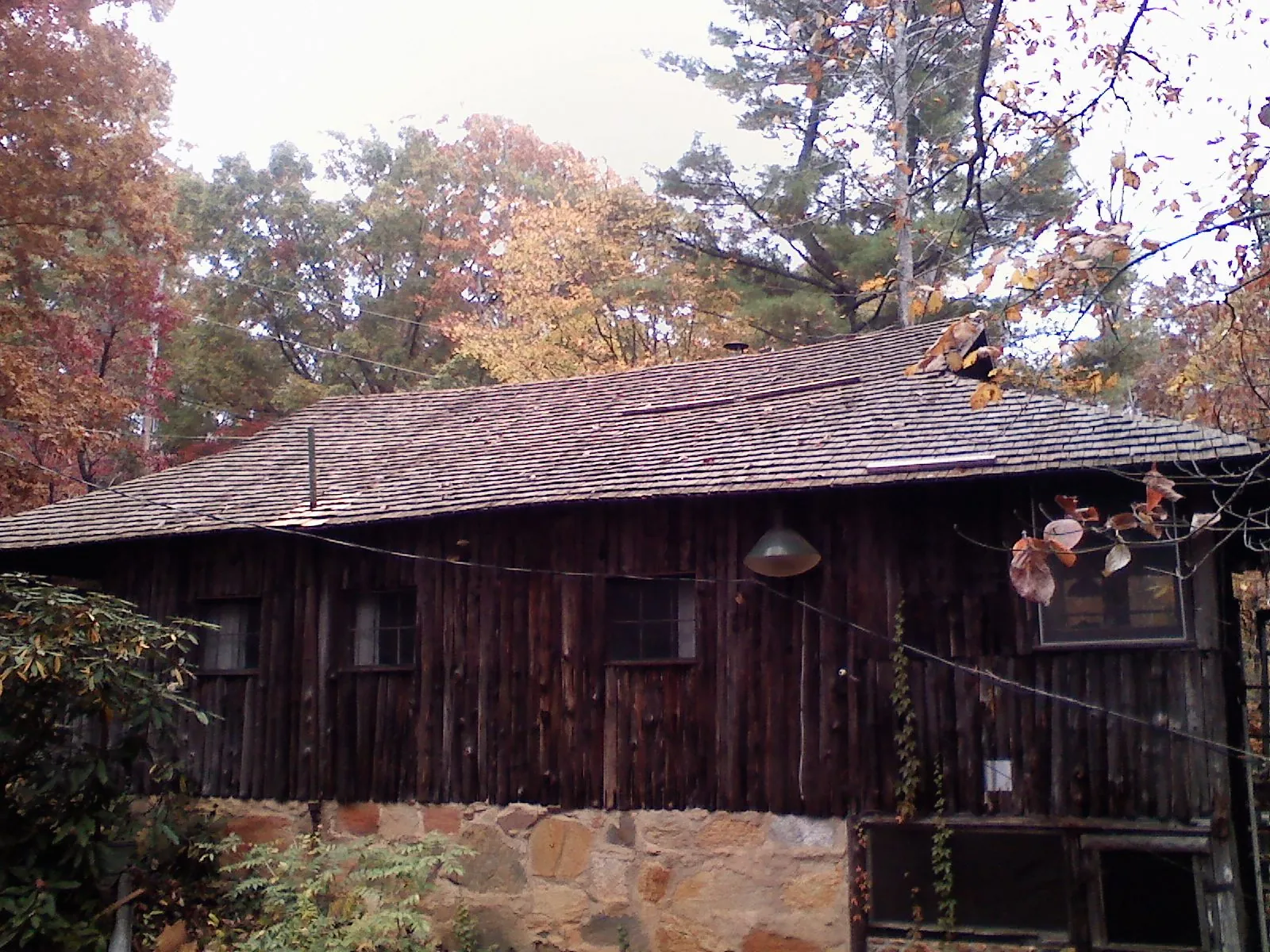 Weathered wood shake roof on a rustic board sided cabin in Tall Timbers